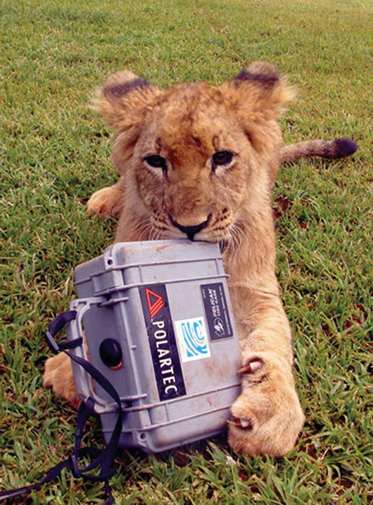 pelican-survival-stories-lion-hard-case